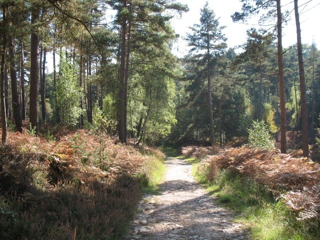 2007 10 Myco Pecqueuse 18